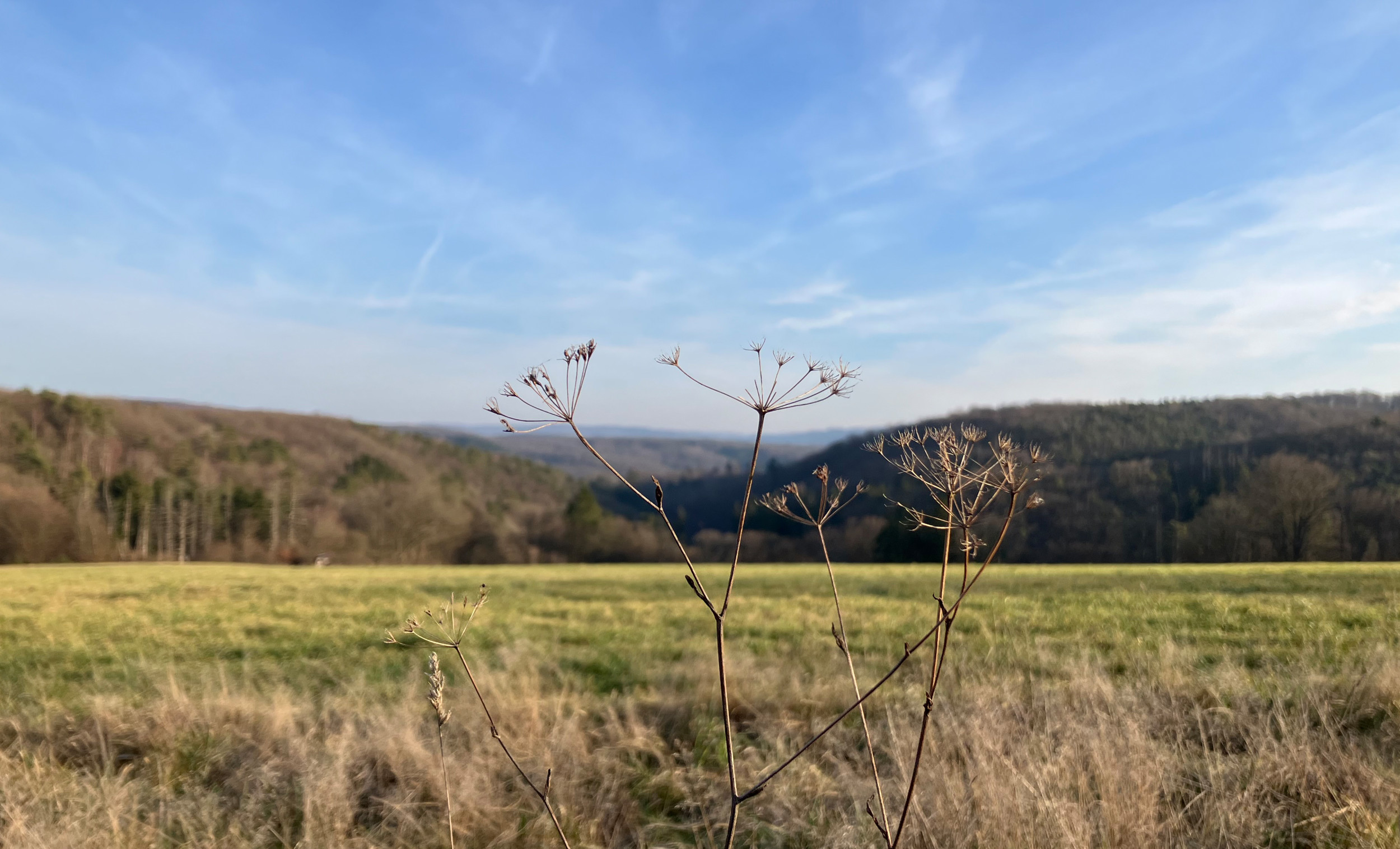 Naturfreundehaus Berg
