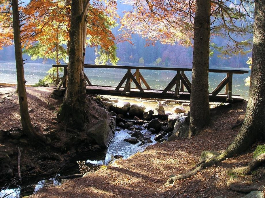 Schullandheim - NaturfreundeHaus Feldberg