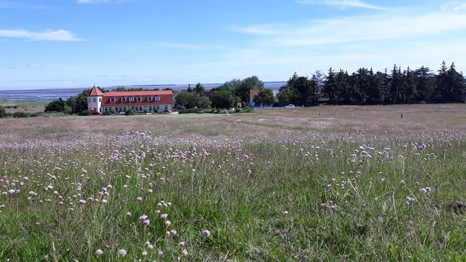 Schullandheim Honigparadies