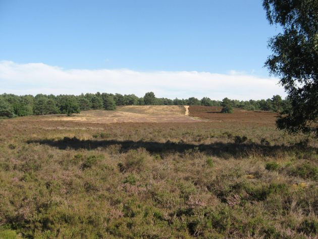 Schullandheim am Scharlbarg e.V. c/o Gymnasium Ohmoor