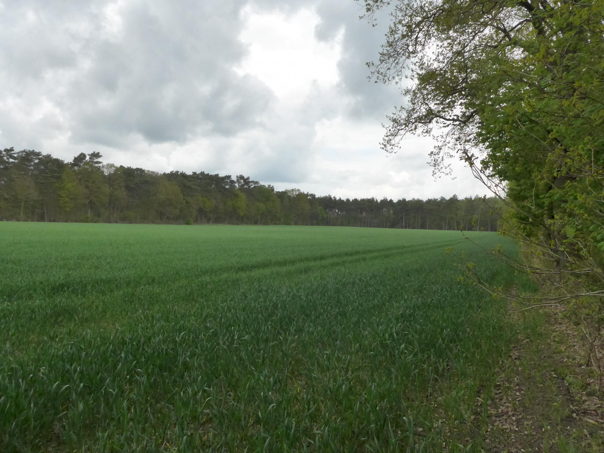 Schullandheim Badenstedt