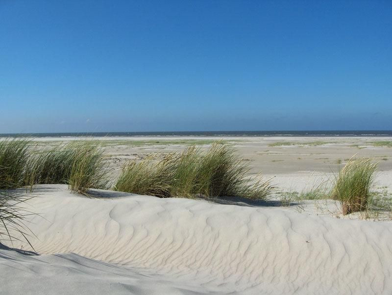 Inselhaus Langeoog