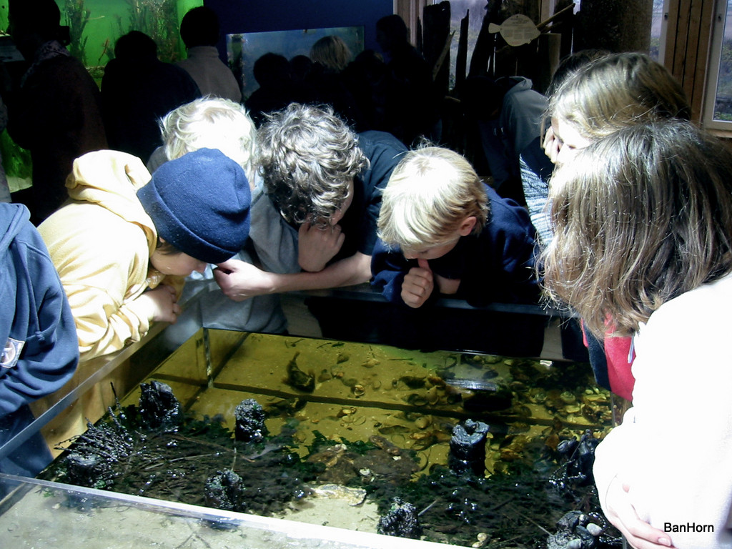 ADS - Schullandheim Ban Horn / AMRUM