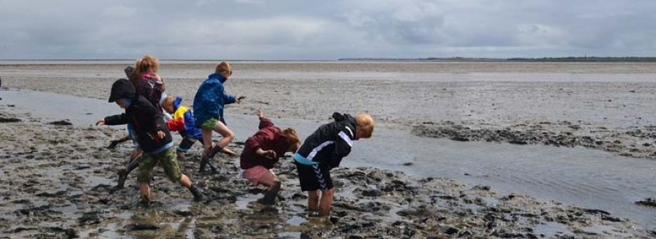 ADS - Schullandheim Ban Horn / AMRUM