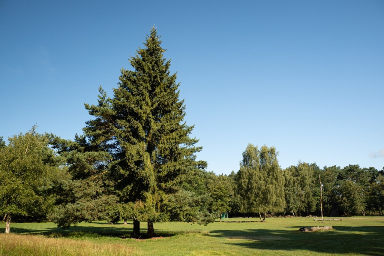 Schullandheim Heideheim