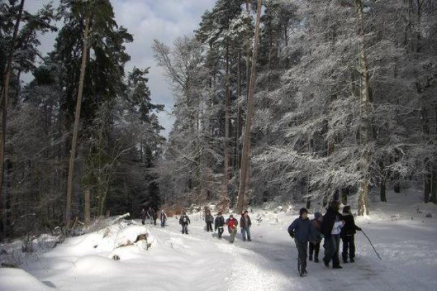 Umweltbildungszentrum Licherode e.V.