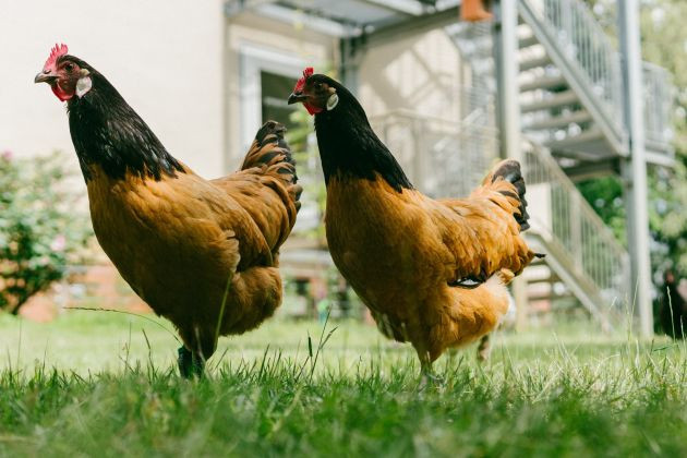 Naturfreundehaus Hannover