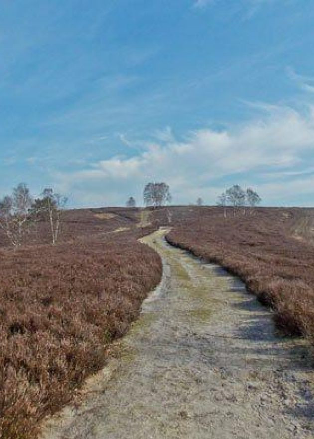 Jugendferienheim Sprötze