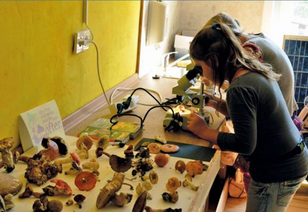 Arbeit in der Umweltstation