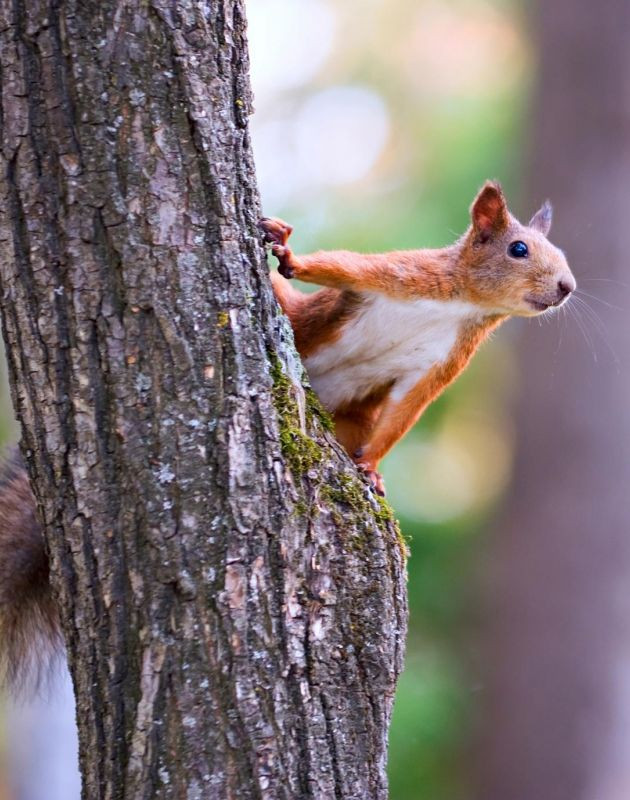 Schullandheim Estetal