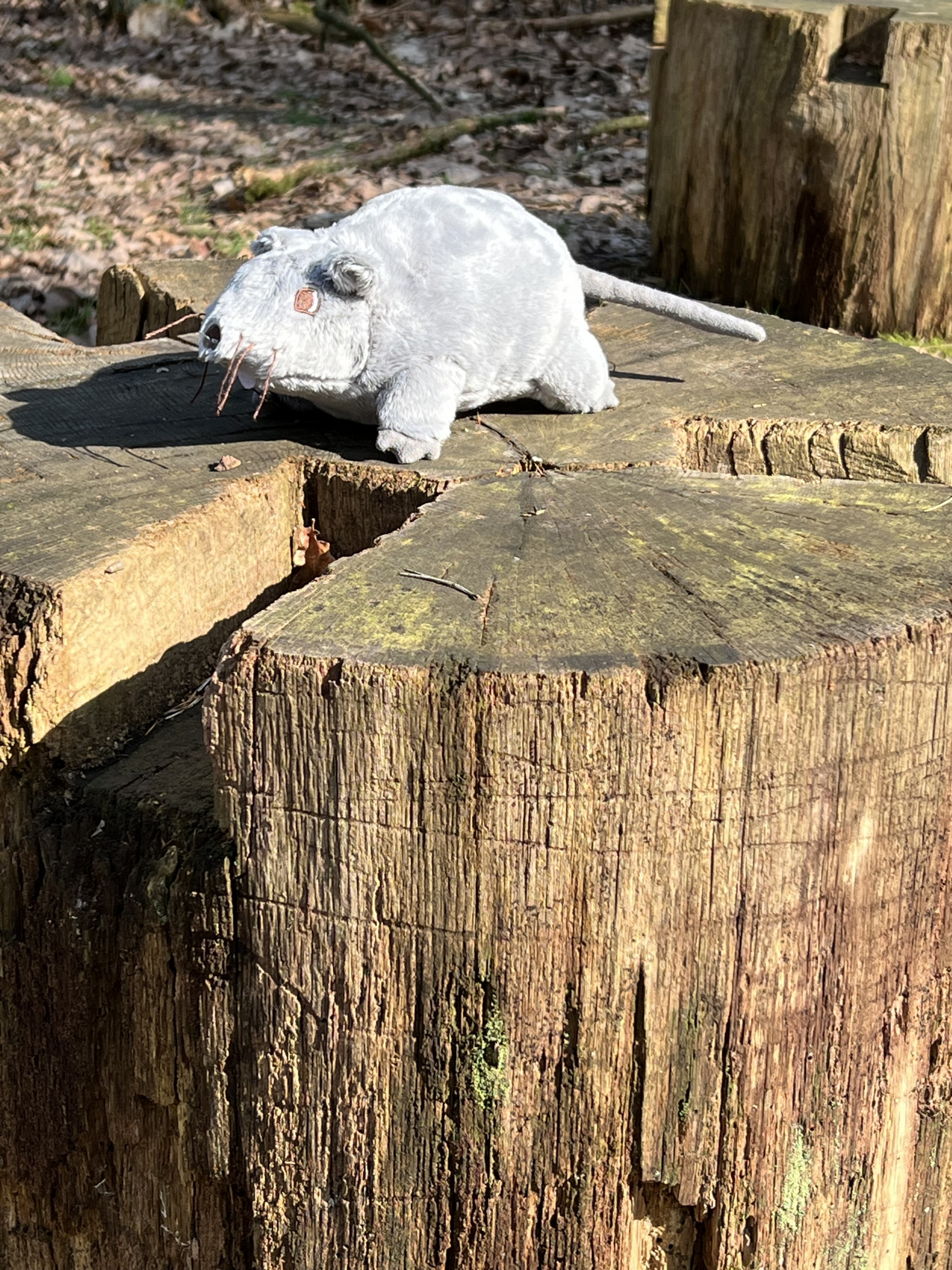 Schullandheim Heideheim