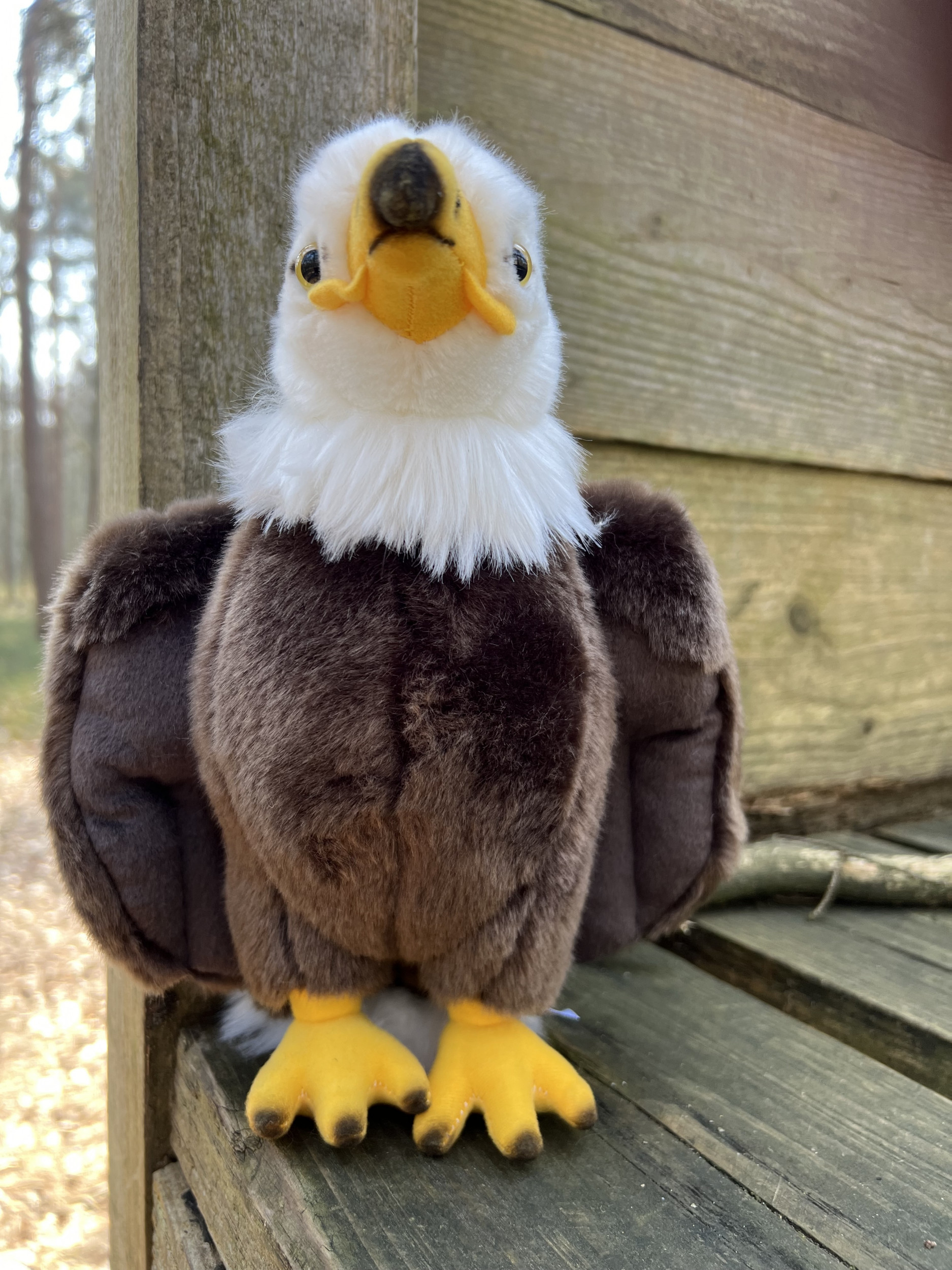 Schullandheim Heideheim