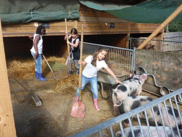 Internationaler Schulbauernhof Hardegsen