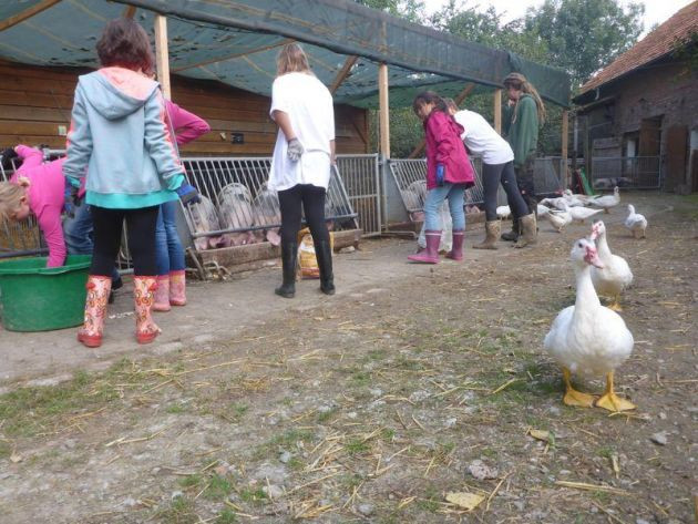 Internationaler Schulbauernhof Hardegsen