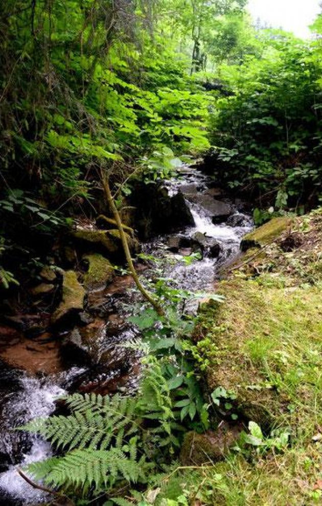 Landheim Lessingschule Mannheim e.V.